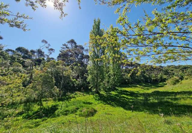 14c Greenslade Road Raglan_2