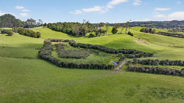 54 Edgerley Road Kaipara Flats_31