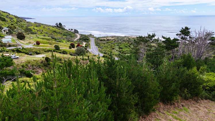 5296D State Highway 6 Punakaiki_9