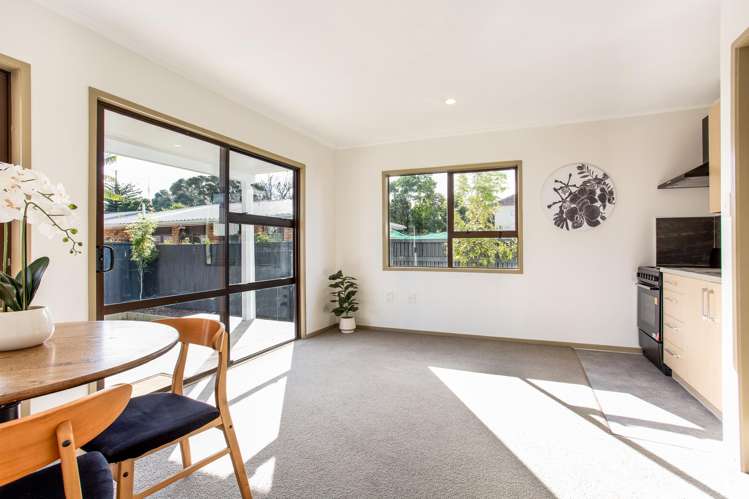 95 Gloria Avenue Te Atatu Peninsula_13