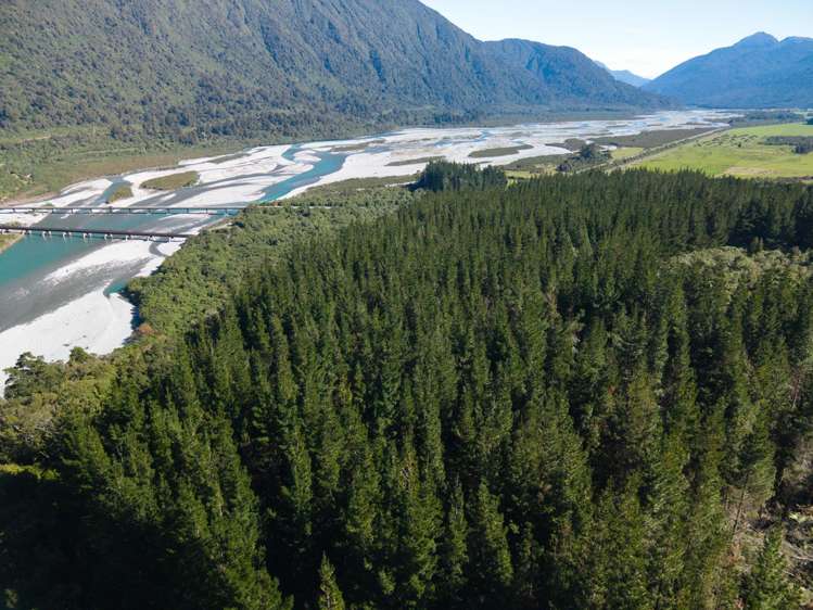 Bell Hill Road Inchbonnie_14