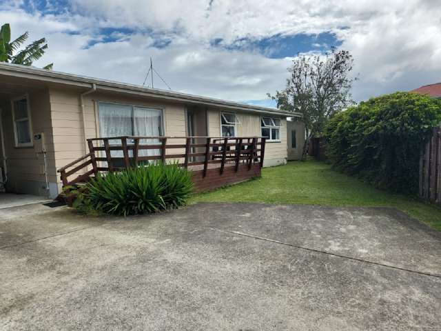 29 Tongariro Street Chartwell_2