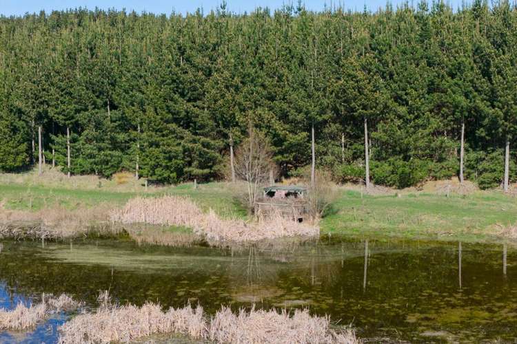 725 Raumai Road Bulls_18