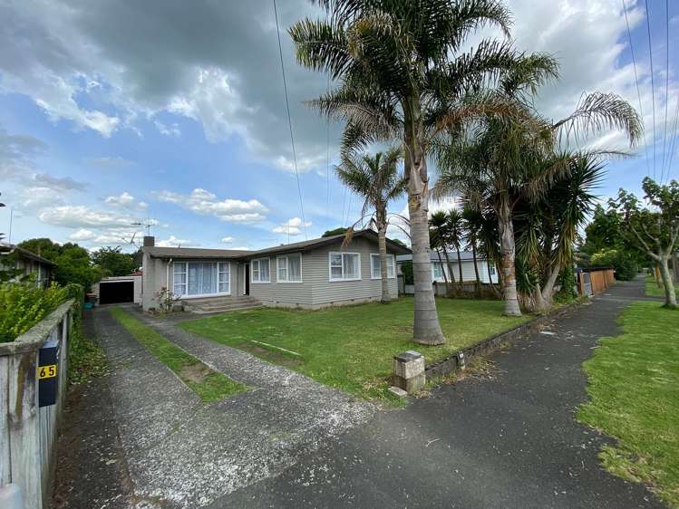 65 Mansel Avenue_0
