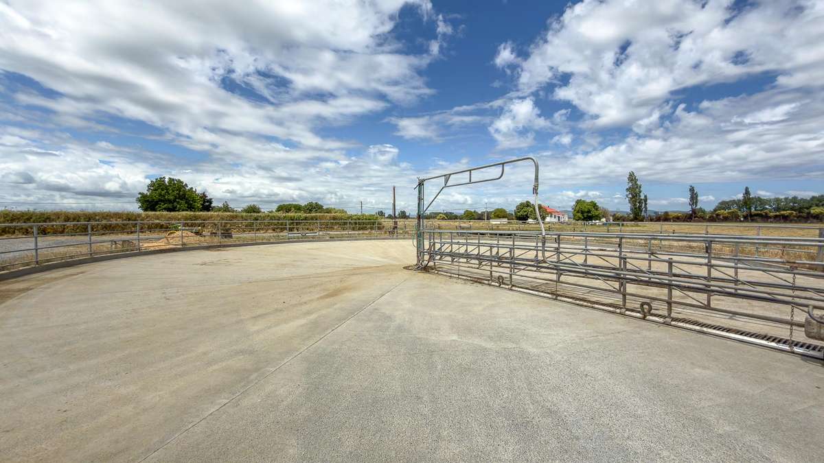 133 Hopai East Road_4