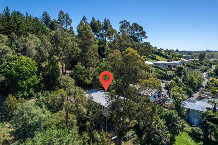 49 Thompson Terrace Toi Toi_24