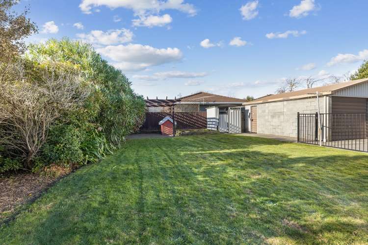 43 Reginald Street Burwood_8