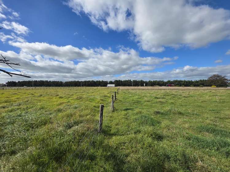 3979 State Highway 2 Waingawa_5