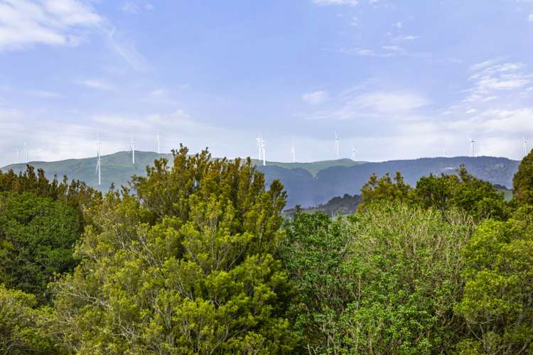 459b Te Hutewai Road Raglan_25