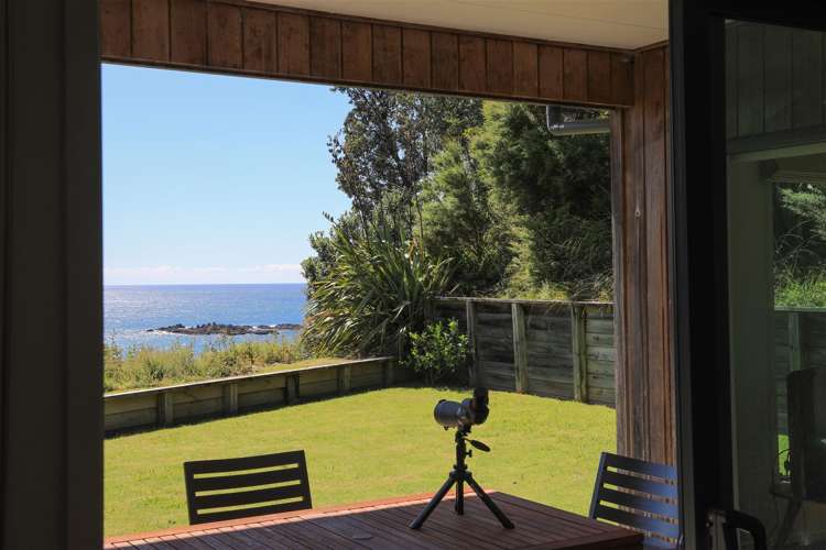 986 Tuateawa Road Waikawau_11