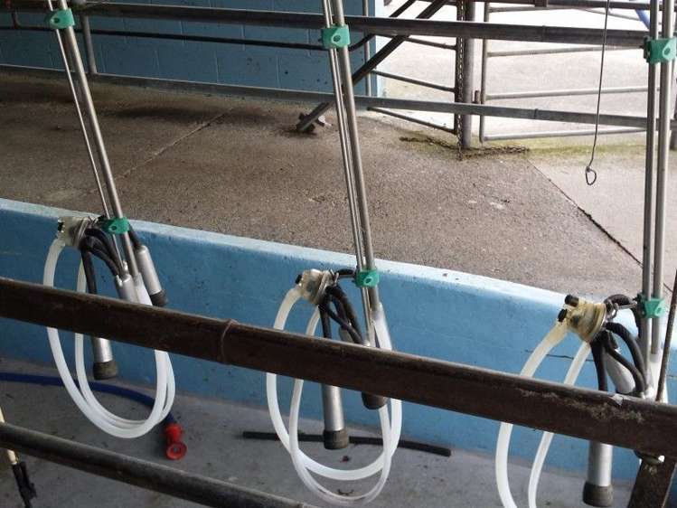 1102 Mangorei Road Mangorei_9