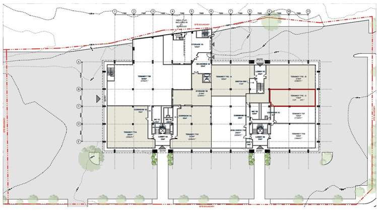 4 Fred Thomas Drive Takapuna_2