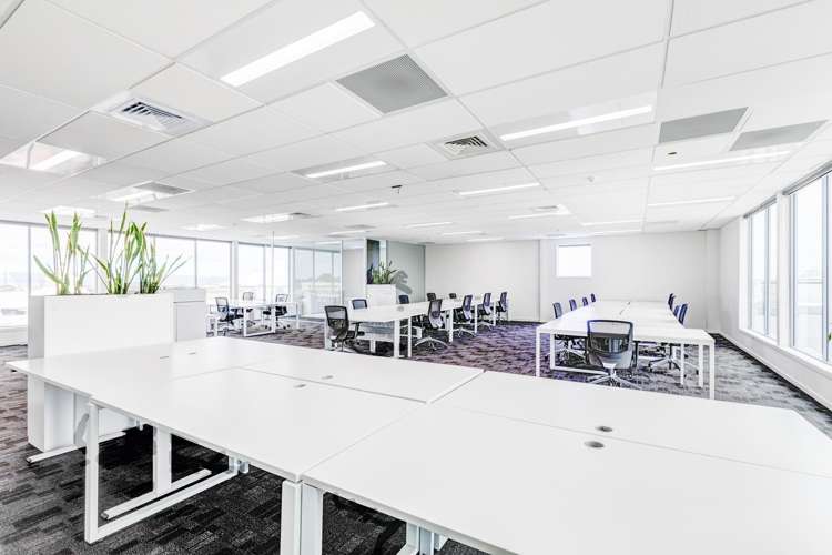 131 New North Road Eden Terrace_11