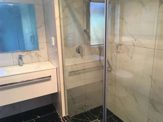 24 Marewa Road Greenlane_1