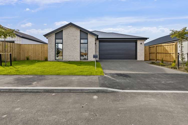 10 Borthwick Street Belfast_12