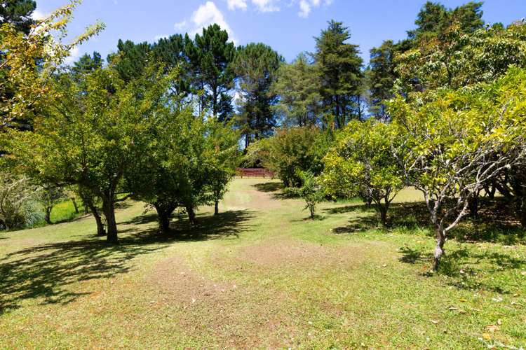 704 State Highway 1 Wellsford_7