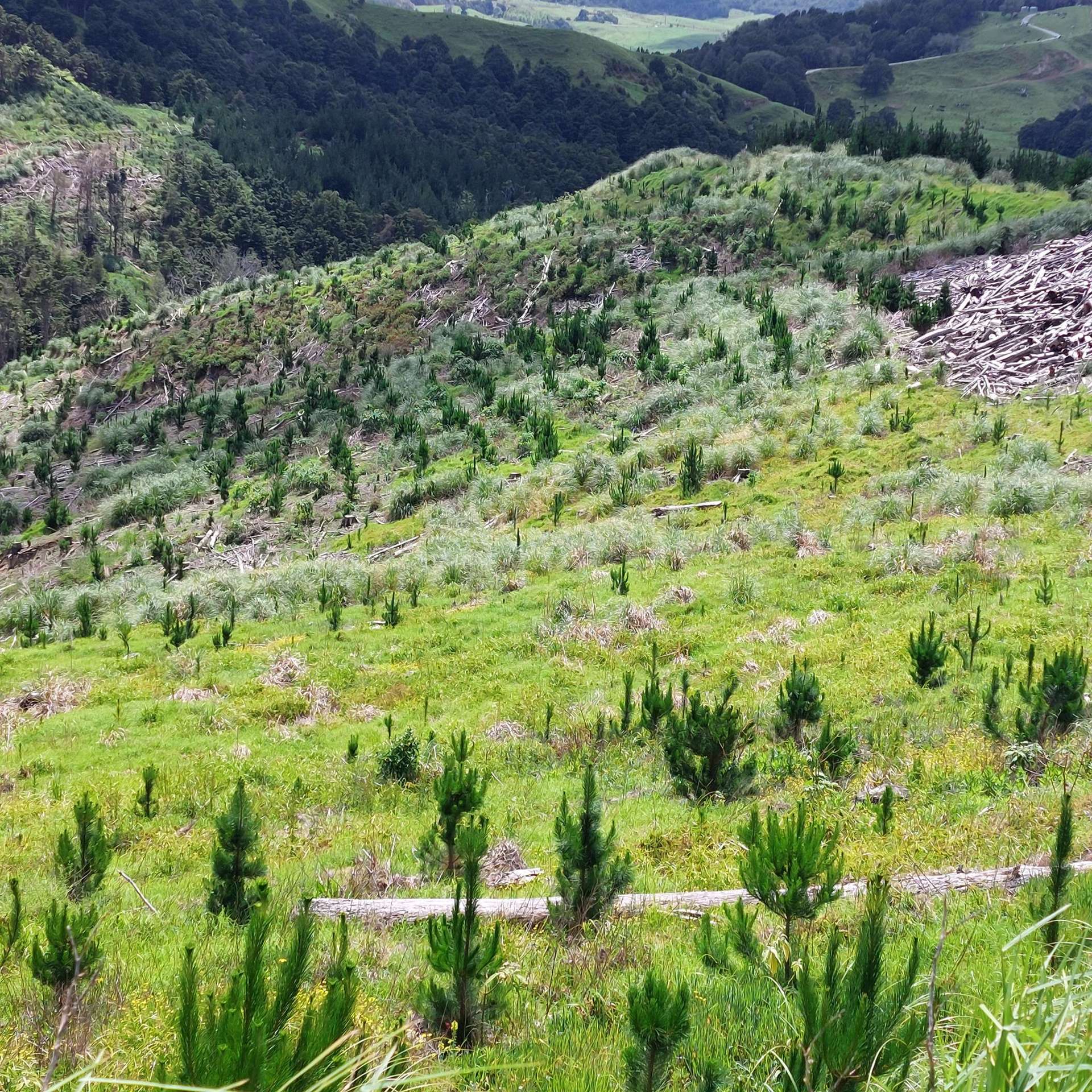 Lot 8/47 Kamea Place Maungaturoto_0