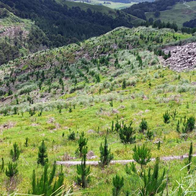 Profitable plantings