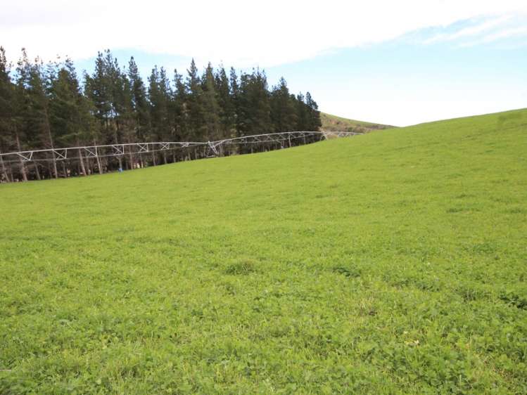 528 Ram Paddock Road Broomfield_11