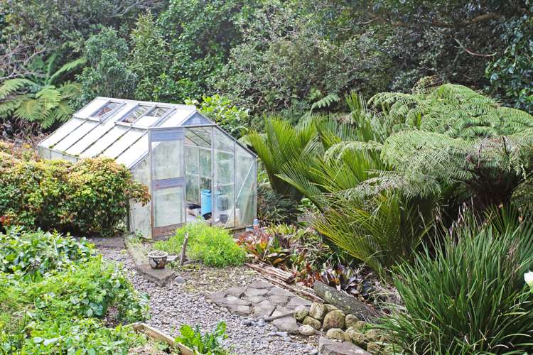 2409 Awhitu Road Awhitu_7