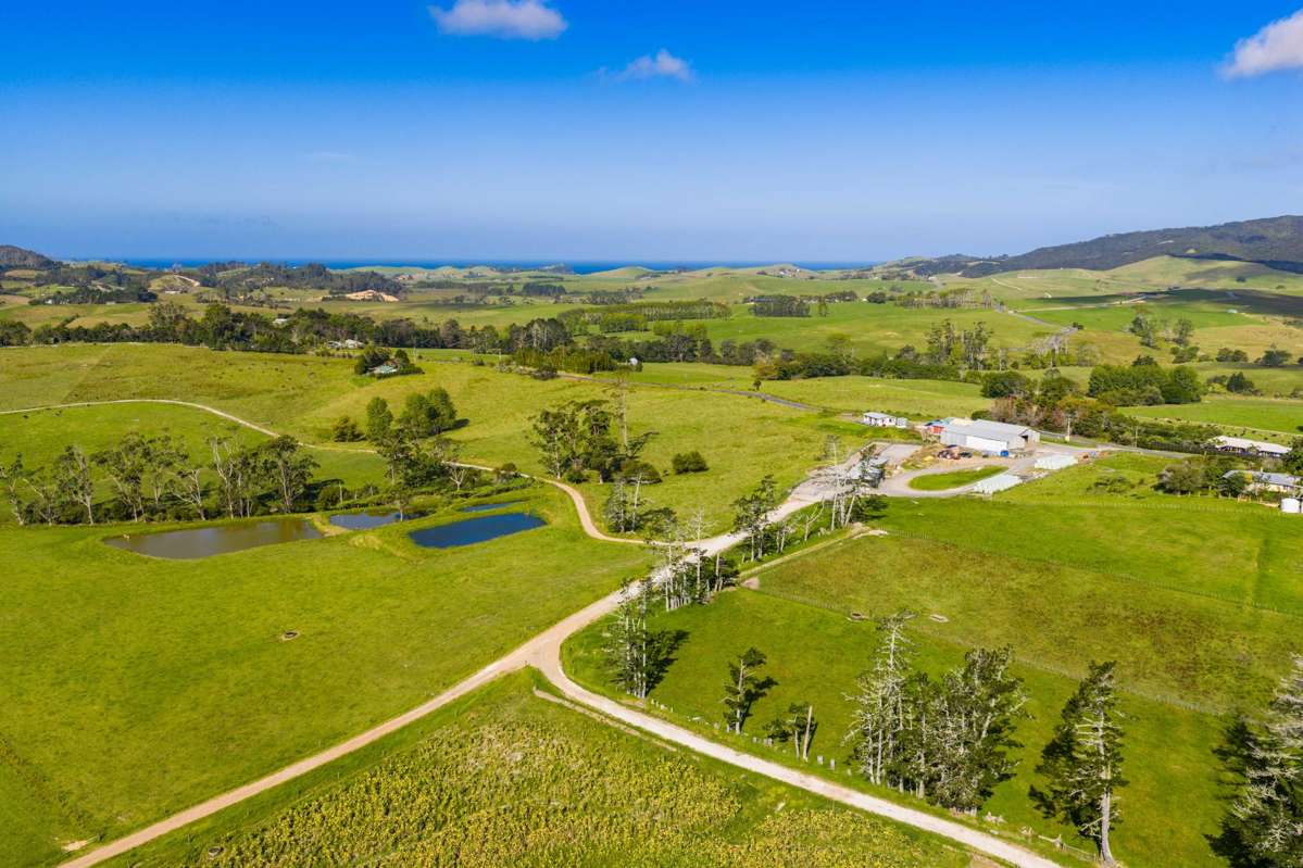 271 Pataua South Road_0