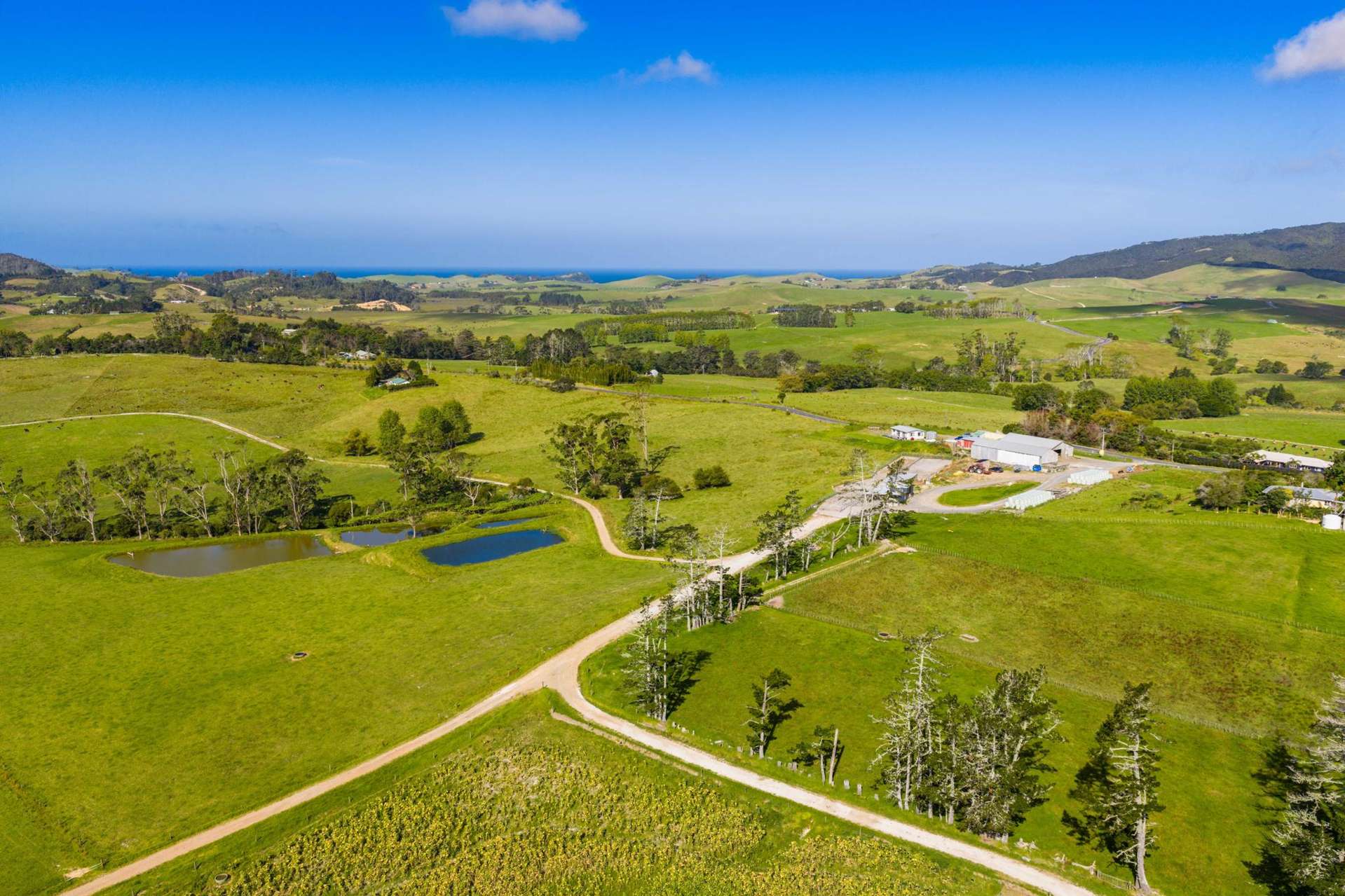 271 Pataua South Road Pataua South_0