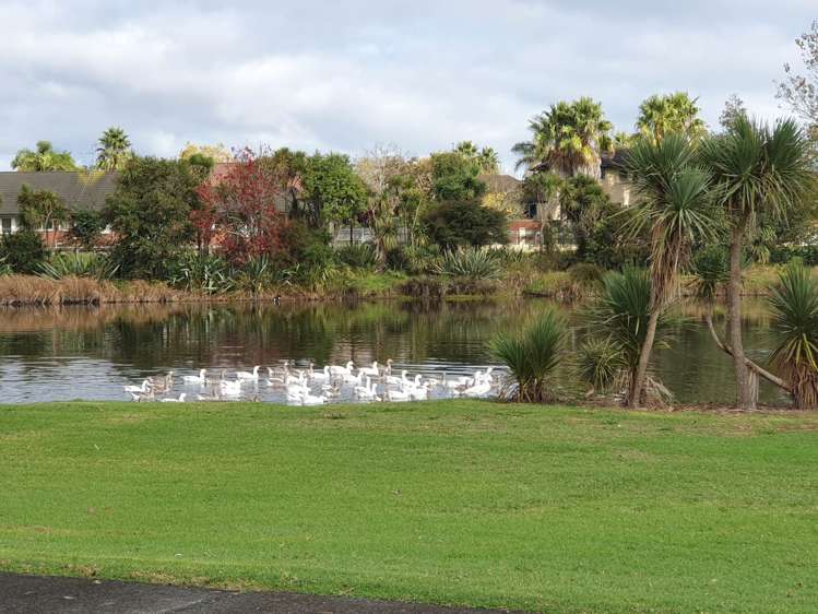 28 Trossach Place Wattle Downs_7