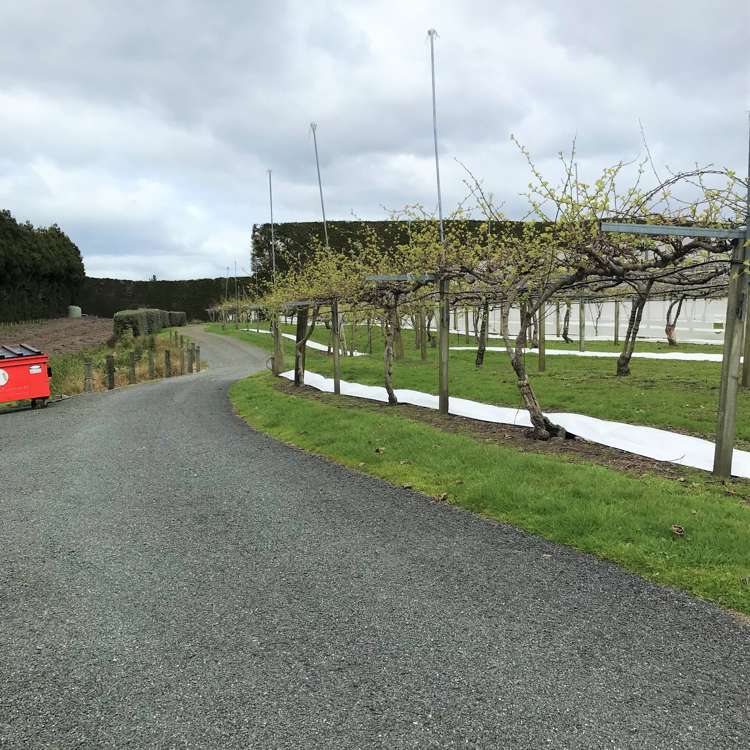 162 Waimea Drive Te Puke_21