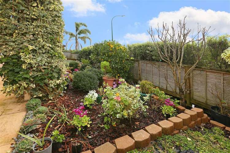 24 Summerland Drive Henderson_22