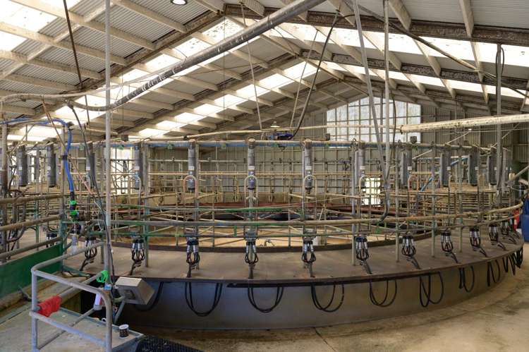 71 Waverley Street Karamea_19