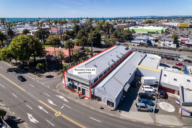 3 Clive Square West Napier South_1