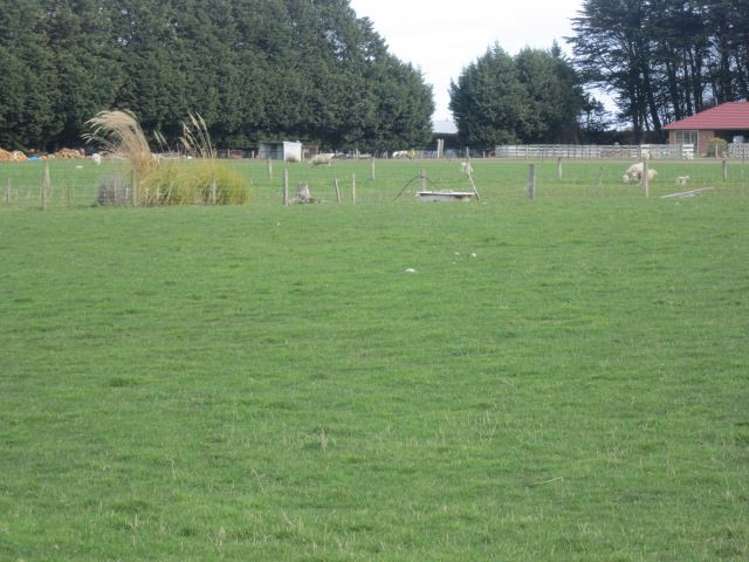 91 Millton Park Road Mill Road_17