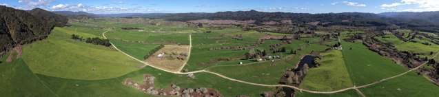 283 Minginui Road Galatea_2
