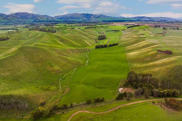 Marama Road Seddon_3