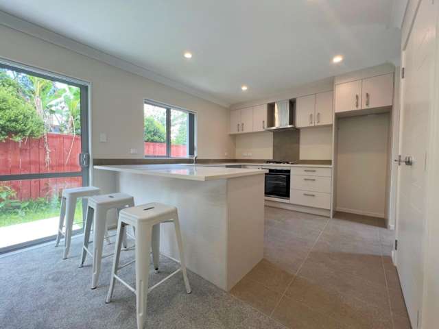 2/45B Mahoe Street 1107_2