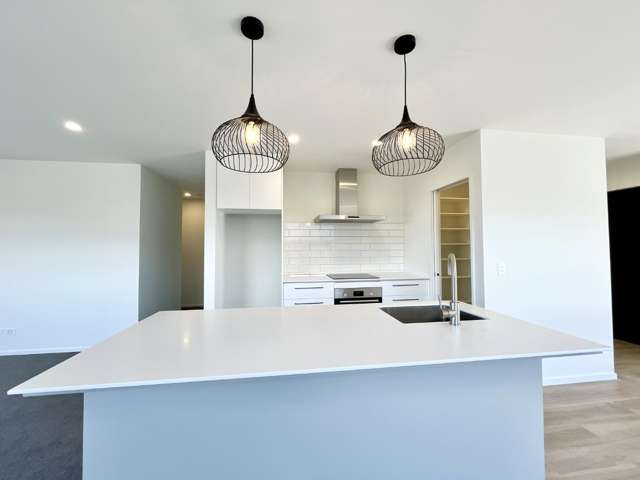 17 Larch Drive Rolleston_1