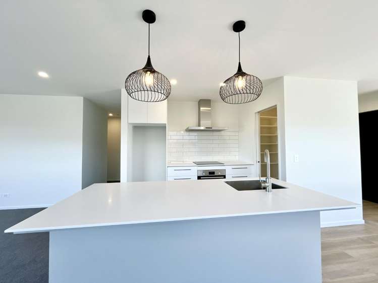 17 Larch Drive Rolleston_1