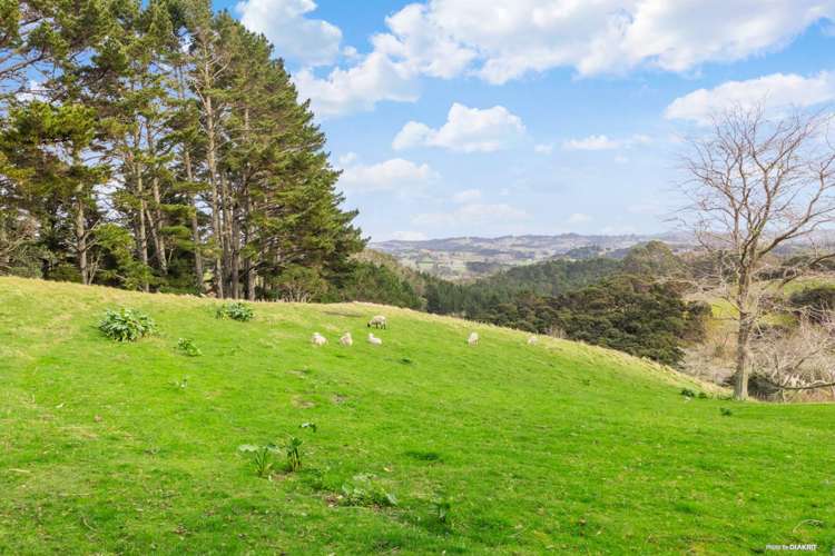 212 Ara-Kotinga Whitford_18