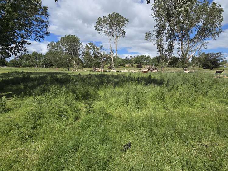 Grindon Street, RD3_2