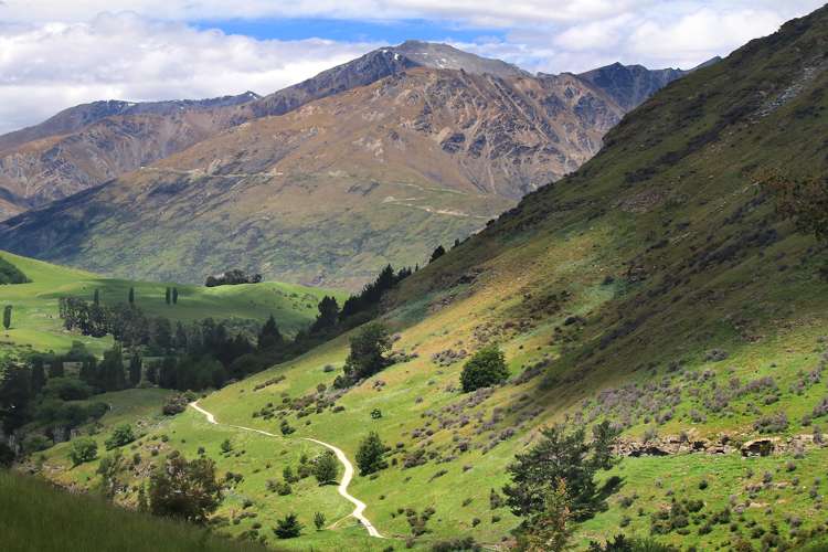 140 Littles Road Dalefield_5