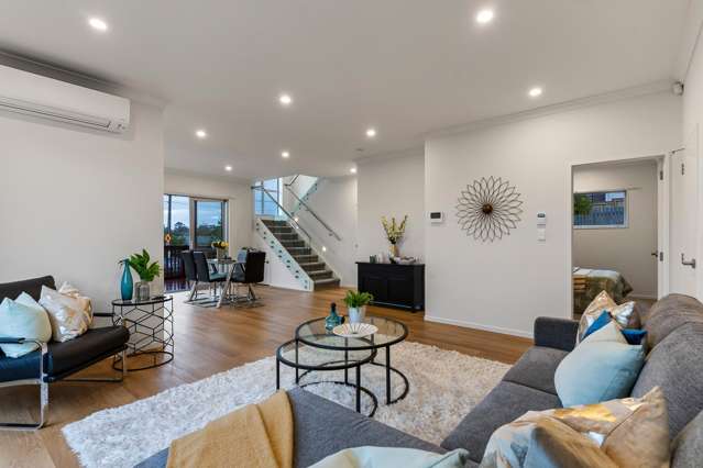 117 White Swan Road Mount Roskill_1