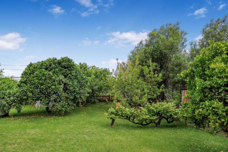 13 Pine Road Ngunguru_17