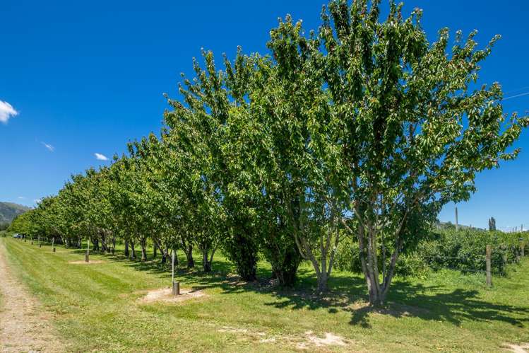 160 Tadmor Valley Road Tapawera_50