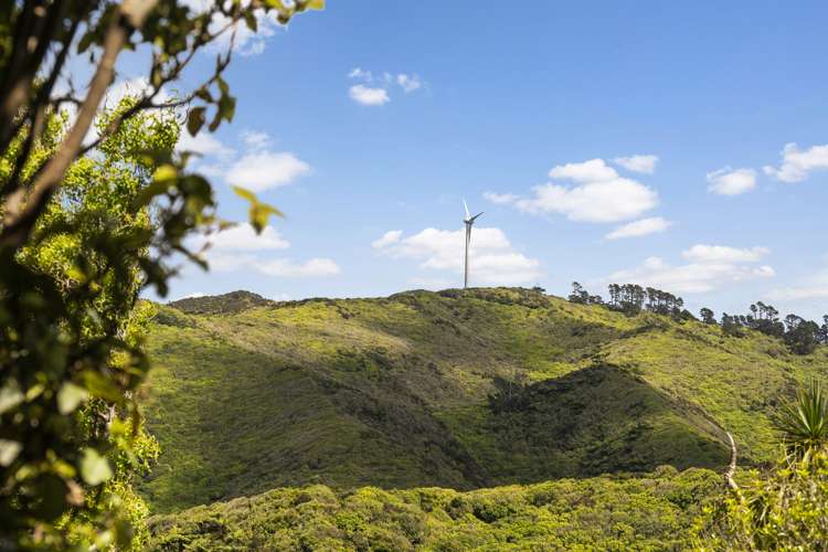 184a Mitchell Street Brooklyn_7