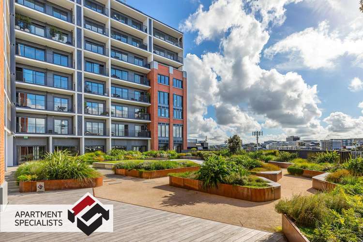 59 France Street Eden Terrace_13
