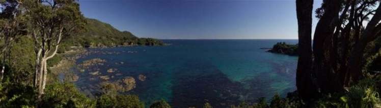28/8361 State highway 35 Waihau Bay_13