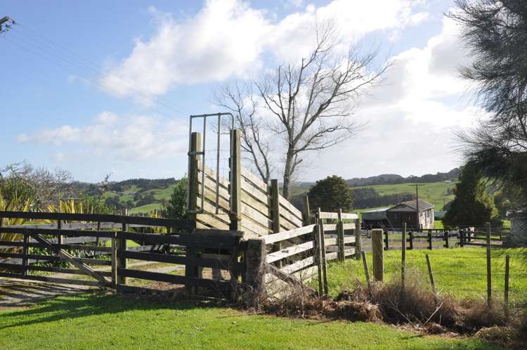 274 Partridge Road Wellsford_18