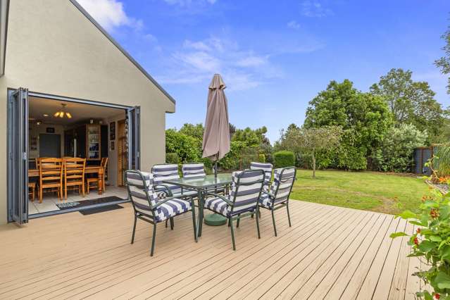 21a Follis Street Te Aroha_3