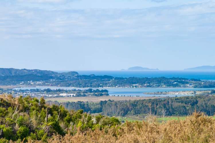 200 Cames Road Mangawhai_8