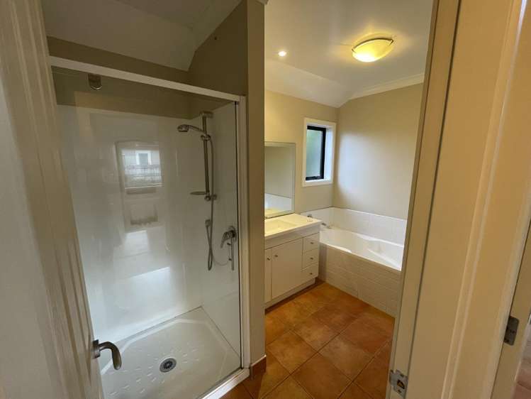 5 Catlins Glen Aotea_15